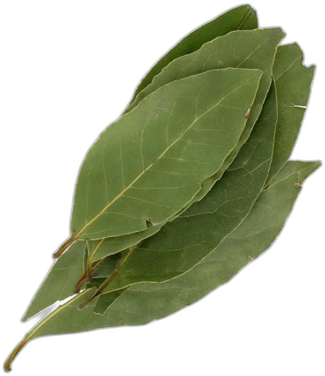 image du produit de saison