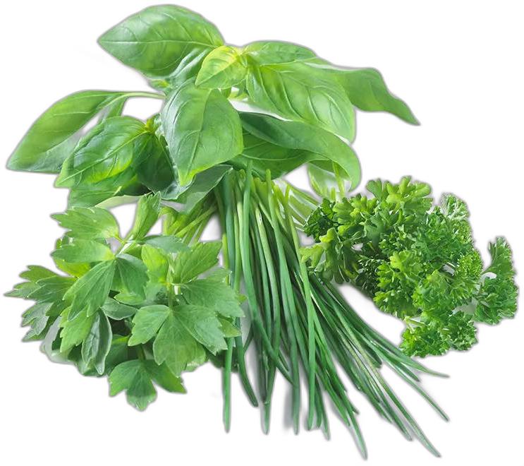 image du produit de saison
