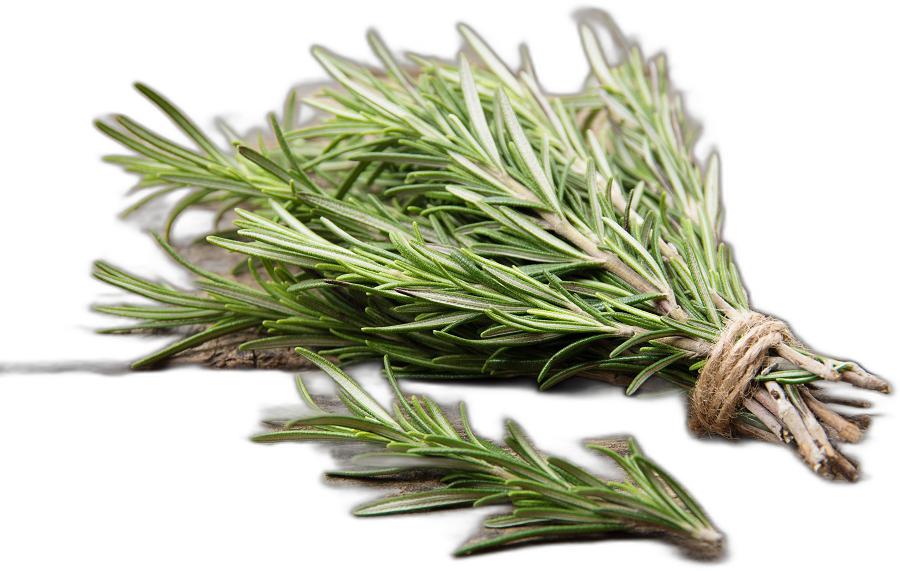 image du produit de saison