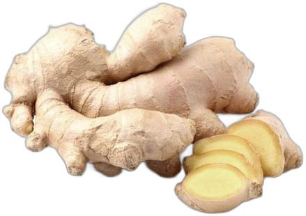 image du produit de saison