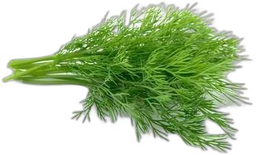 image du produit de saison