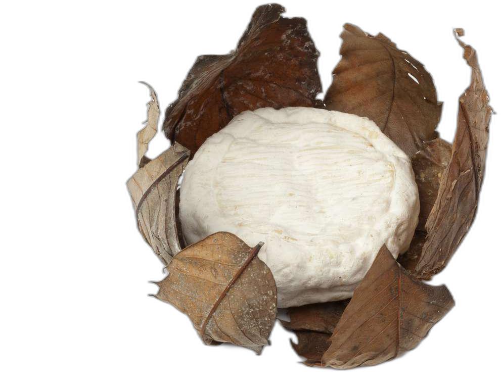 image du produit de saison