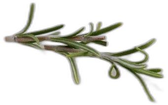 image du produit de saison