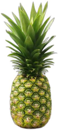 image du produit de saison