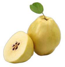 image du produit de saison