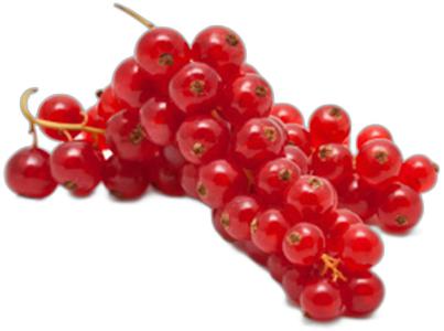 image du produit de saison