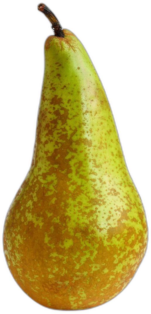 image du produit de saison