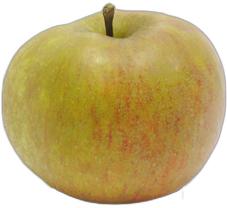 image du produit de saison