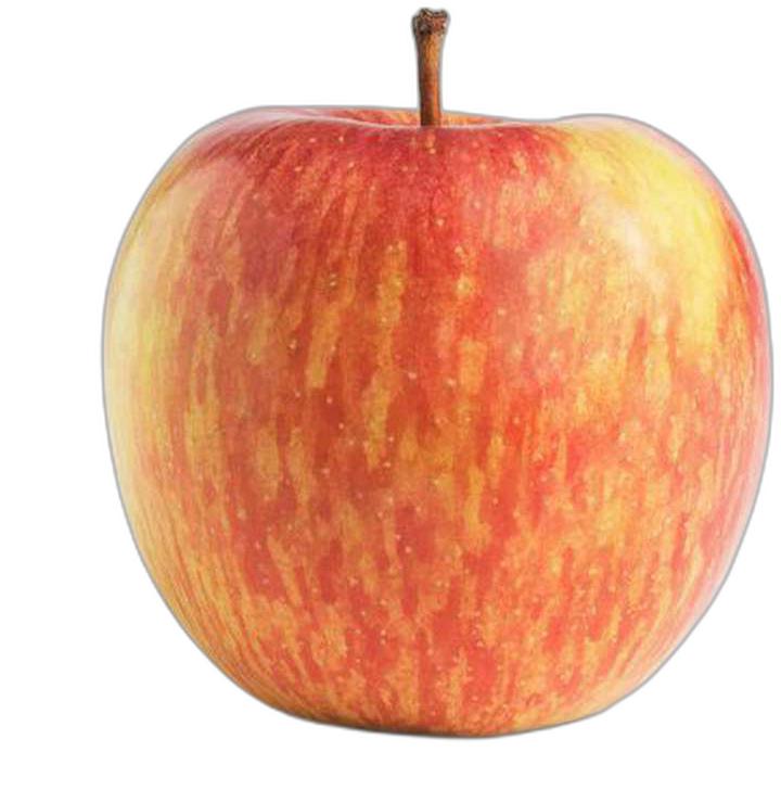 image du produit de saison