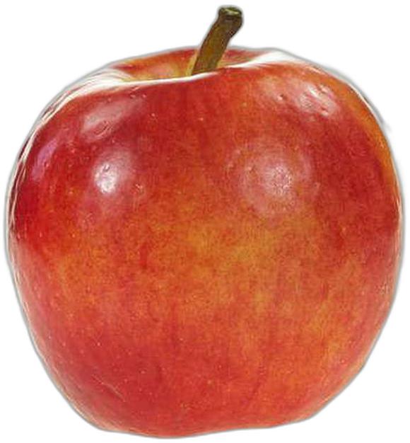 image du produit de saison