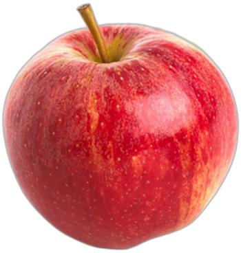 image du produit de saison