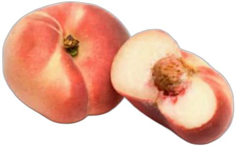 image du produit de saison