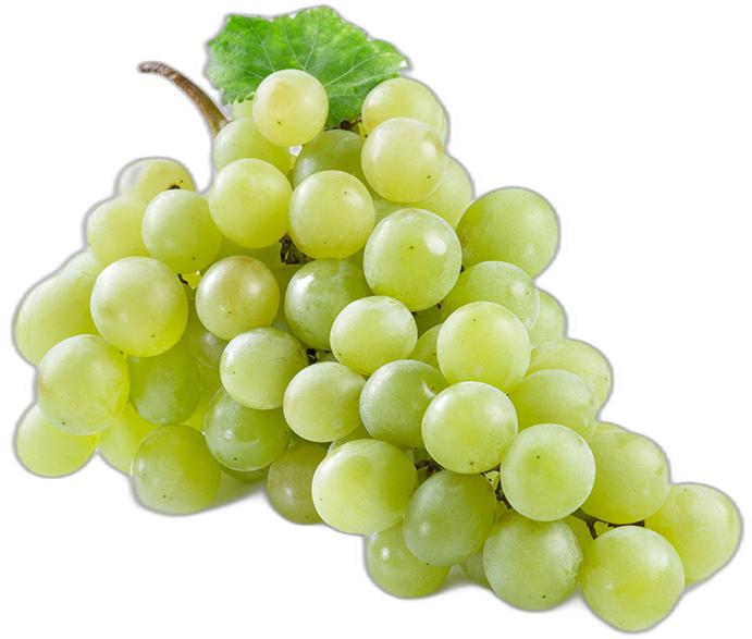 image du produit de saison