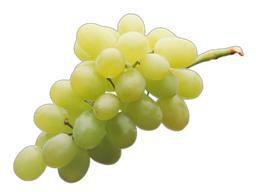 image du produit de saison