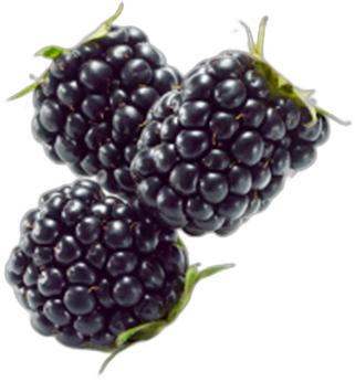 image du produit de saison