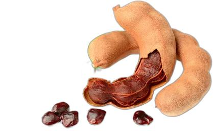 image du produit de saison