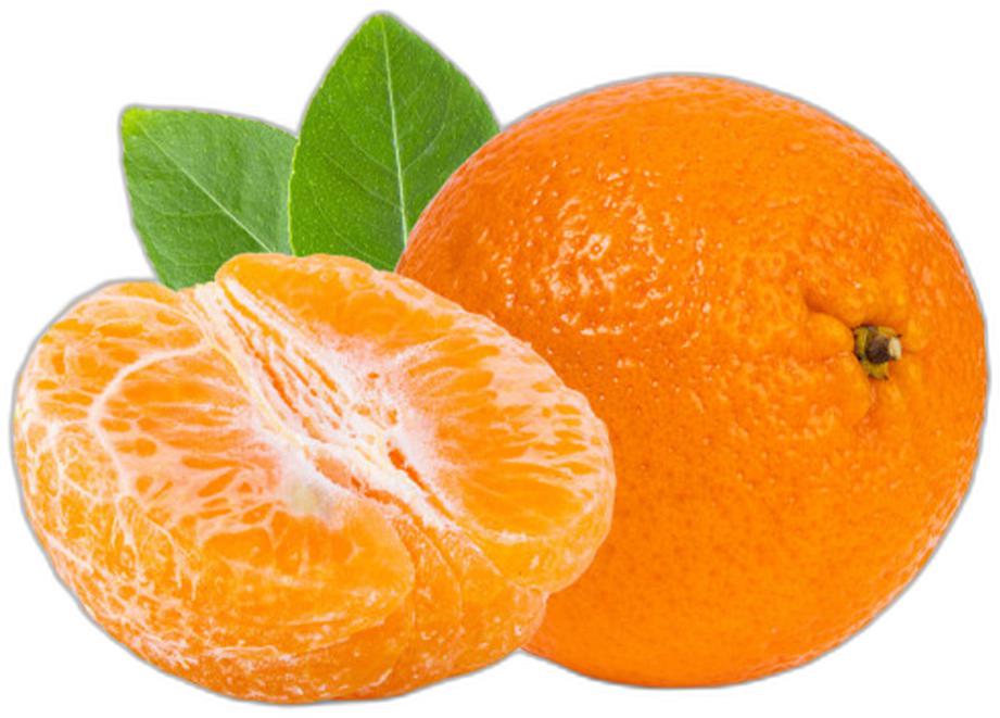 image du produit de saison