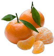 image du produit de saison