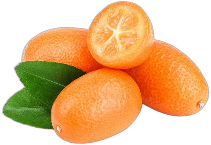 image du produit de saison