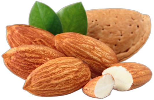 image du produit de saison