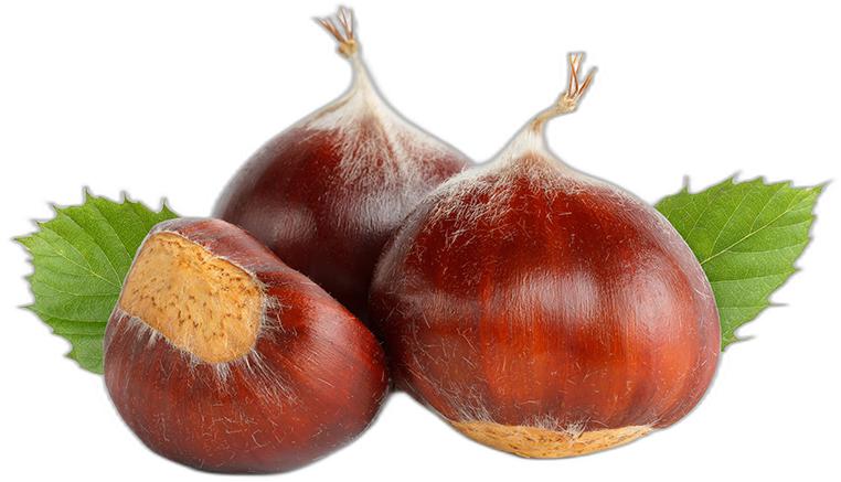 image du produit de saison