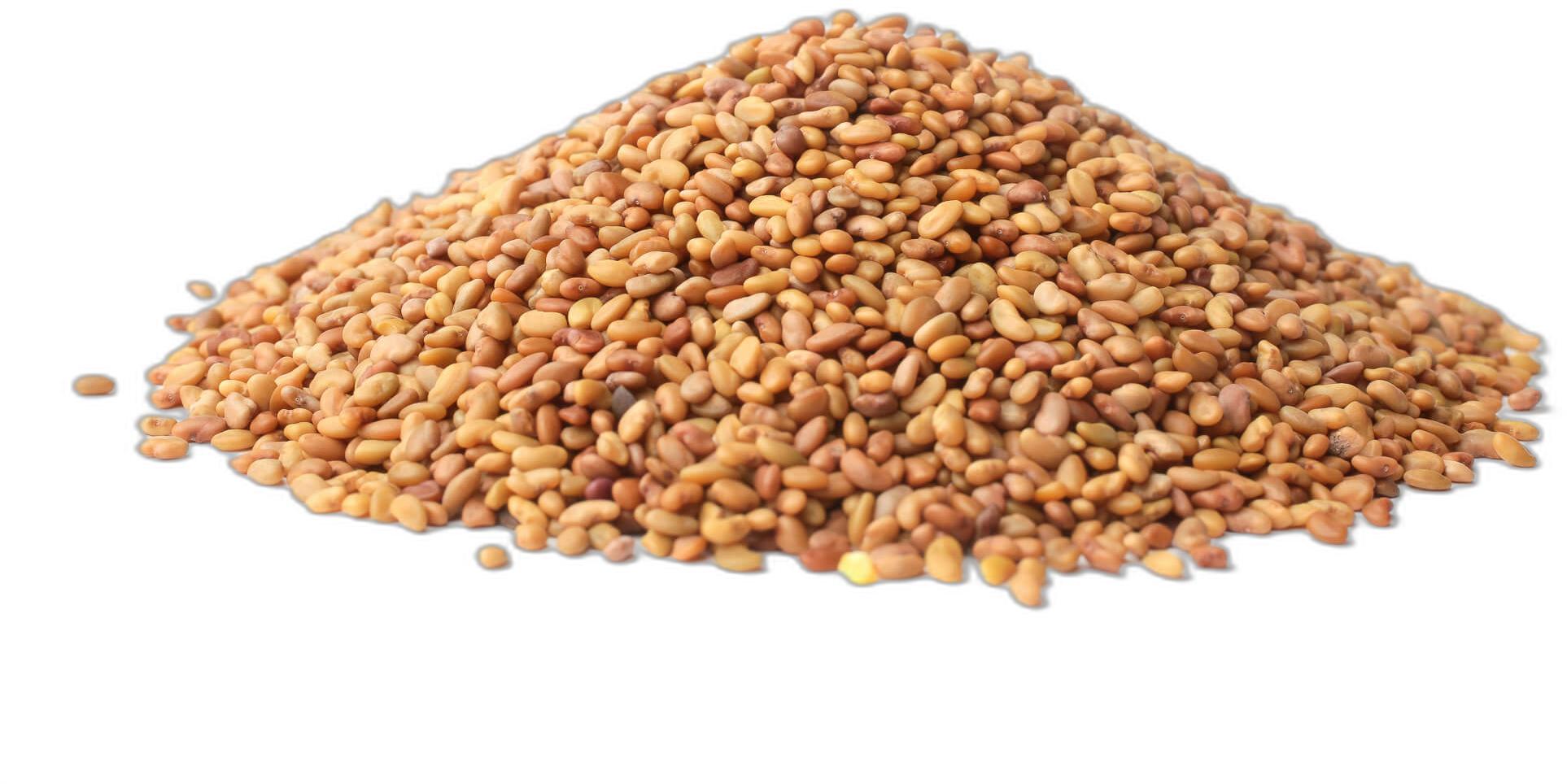 image du produit de saison