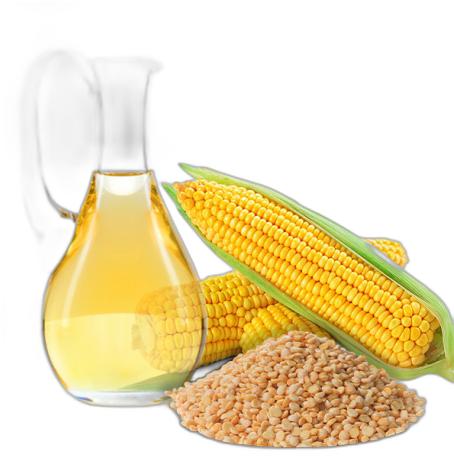 image du produit de saison