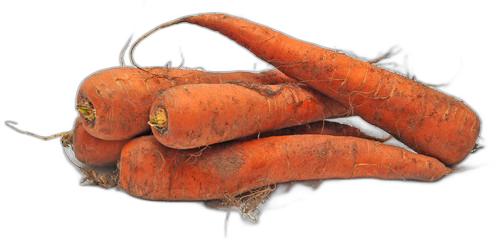 image du produit de saison