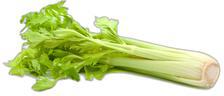 image du produit de saison