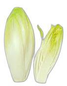 image du produit de saison