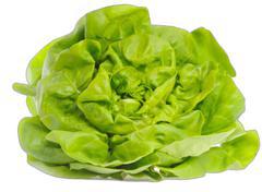 image du produit de saison