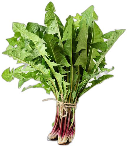 image du produit de saison