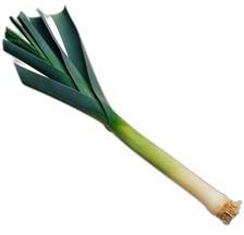 image du produit de saison