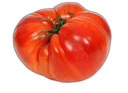 image du produit de saison