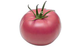 image du produit de saison