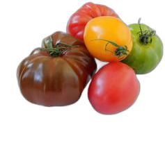 image du produit de saison