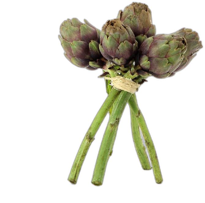 image du produit de saison