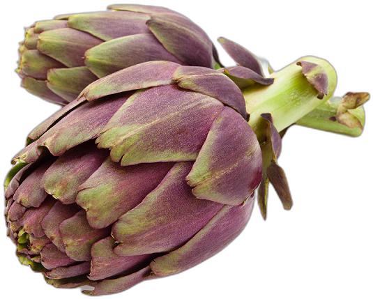 image du produit de saison