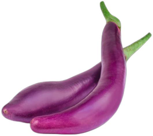 image du produit de saison