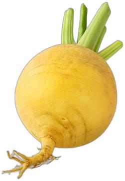 image du produit de saison