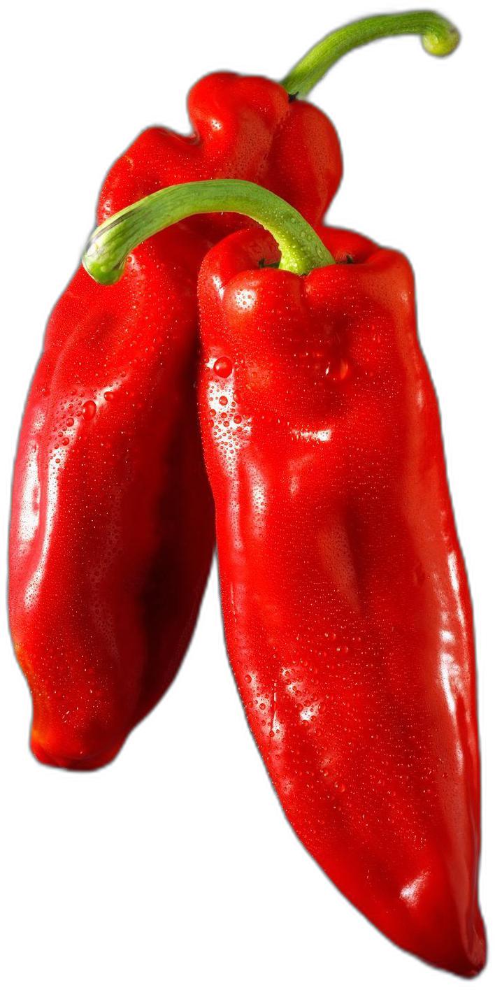 image du produit de saison