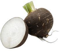 image du produit de saison