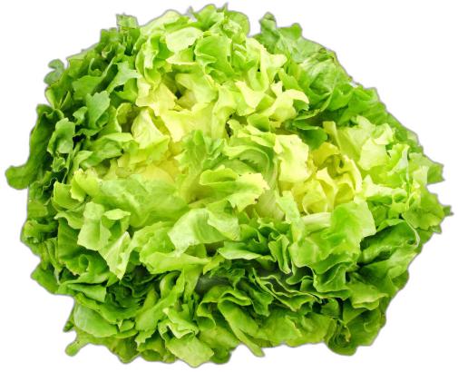image du produit de saison