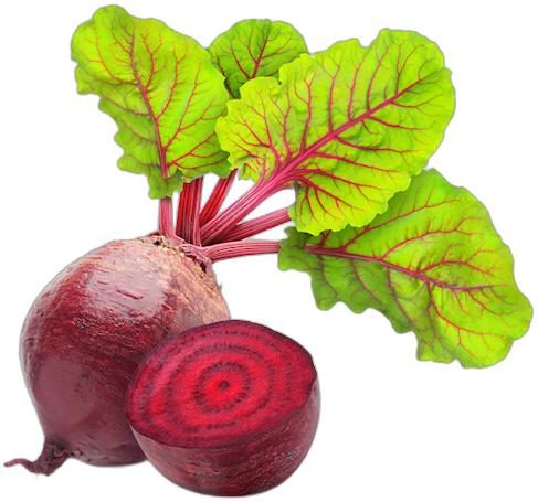 image du produit de saison