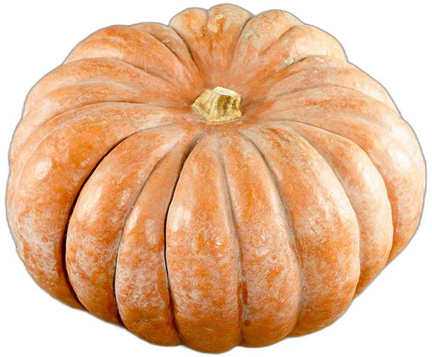 image du produit de saison