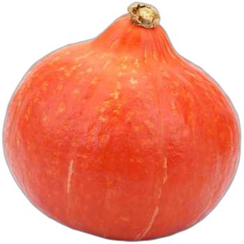 image du produit de saison
