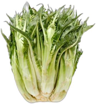 image du produit de saison