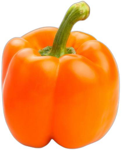 image du produit de saison