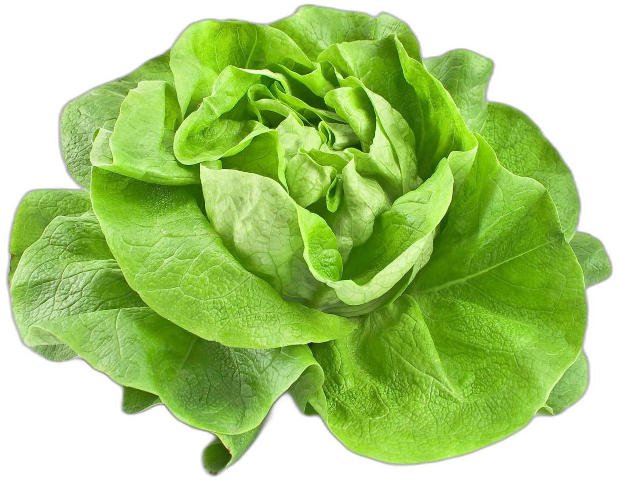 image du produit de saison