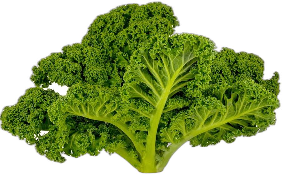 image du produit de saison